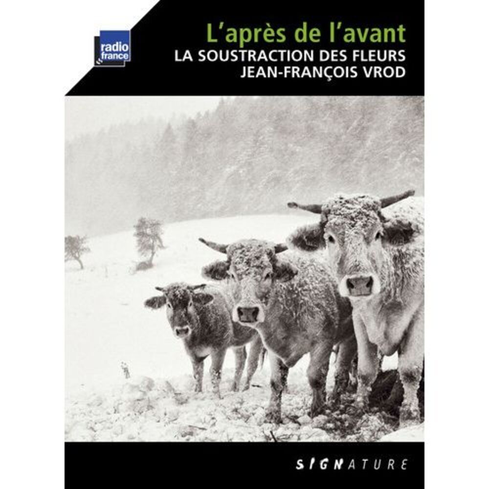Jean-Francois Vrod - Lapres de L'avant  CD
